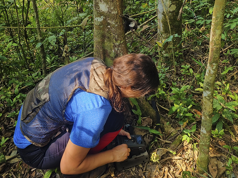 Rosana Sérpico Consultoria Ambiental